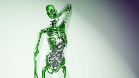 Human-Skeleton-Bones-Model-with-Organs